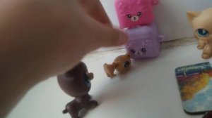 LPS в магазине / Princess LPS