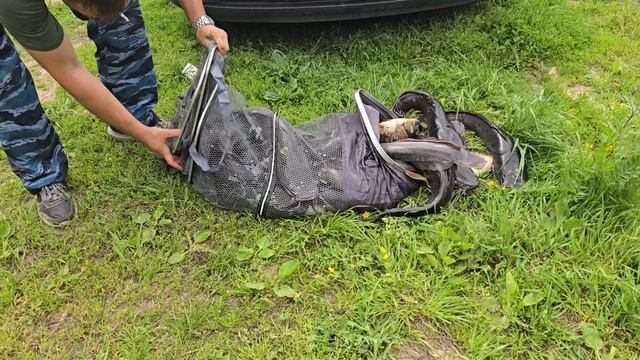 31.05.25 г. Парк отдыха водопад смотреть онлайн