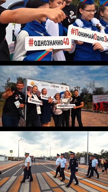 Портфолио смотреть онлайн