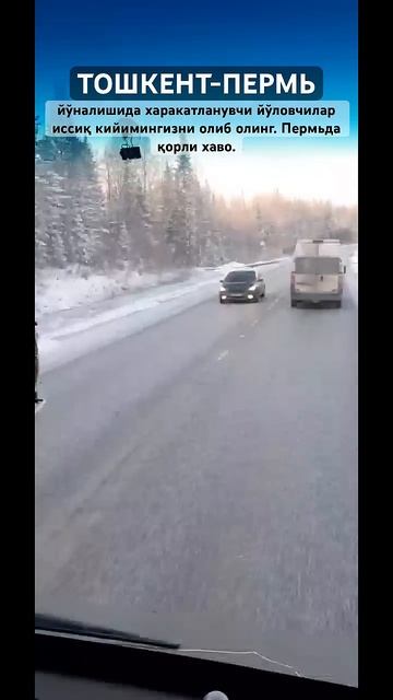 ТОШКЕНТ ПЕРМЬ АВТОБУС ПЕРМЬ ТАШКЕНТ АВТОБУС КРАСНОДА? смотреть онлайн