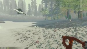 Обзор на игру The Forest(ЛЕС)