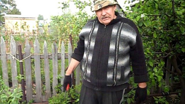 Выращивание корнесобственных яблонь