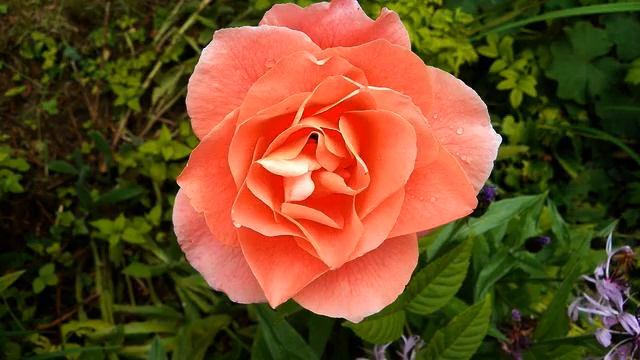 Слушать лучшую русскую песню и видео онлайн смотреть онлайн