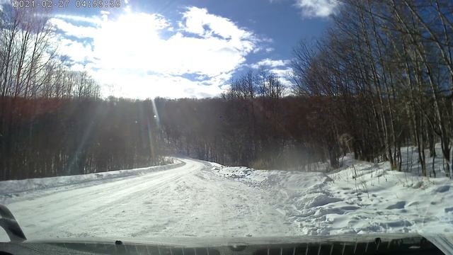 Only road and music | Только дорога и музыка смотреть онлайн