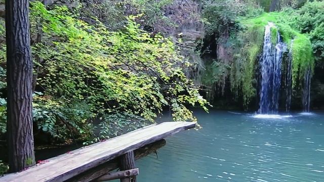 МАВКА АРИША смотреть онлайн