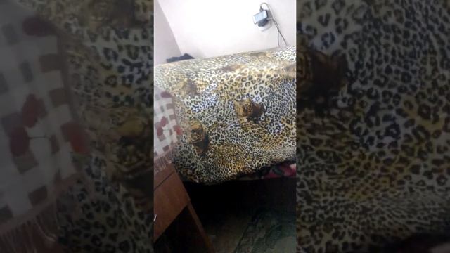 Хахахах смотреть онлайн