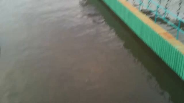 яхтклуб Рассвет прогулка по пирсам смотреть онлайн