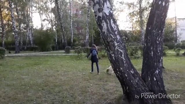 Фильм: "Сила дружбы, продолжается вечно". смотреть онлайн