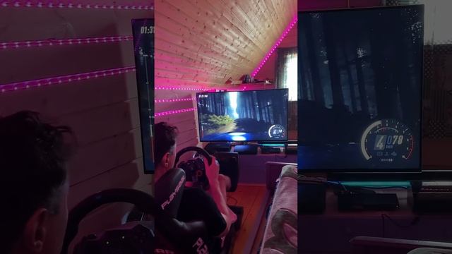 Dirt Rally 2.0 Logitech G29 Лучшие настройки для реализма #g29 #dirtrally