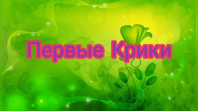 Говорящий Том Бег За Золотом В Реальной Жизни Анонс 16.11.2019 смотреть онлайн