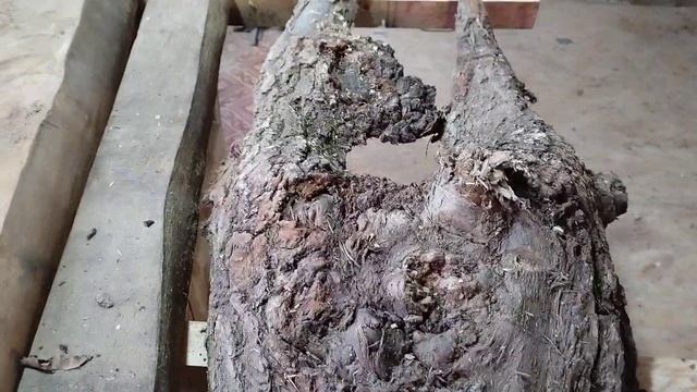 С дуба падали листья ясеня))) смотреть онлайн