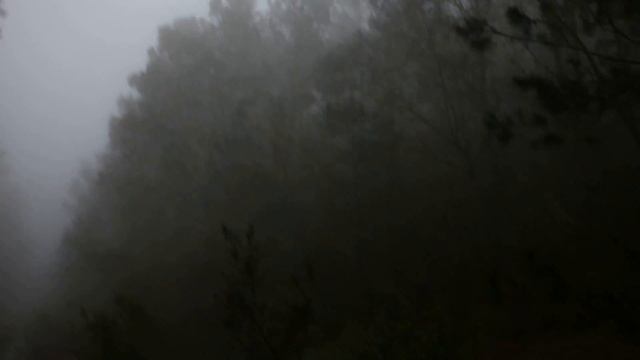 Поворот не туда-5