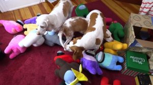 Dogs vs. Among Us in Real Life! Maymo & Dogs Get Among Us Christmas Surprise!