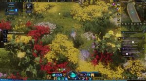 Lost Ark. Одиночные испытания мококо. Экидна 1610