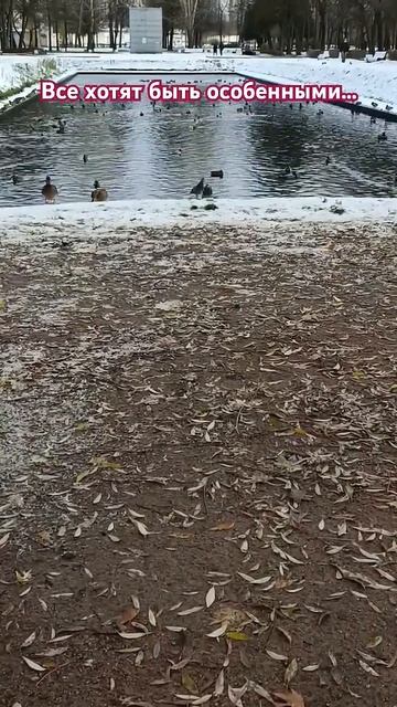 У тебя есть свой сценарий? смотреть онлайн