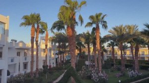 Египет. Апрель 2025 из Иркутска в Хургаду. 
Отель Мираж(Mirage Bay Resort)
