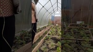 Скользящая петля для подвязывания растений 😉☝️