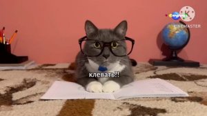 прямо сейчас на канале карусель kotinet