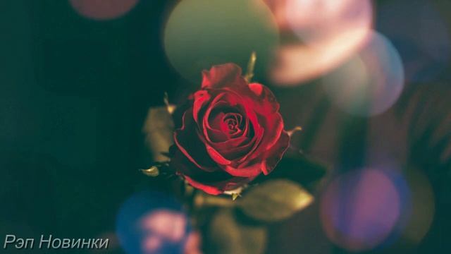 ST1NK - Открой сердце своё (2019) смотреть онлайн