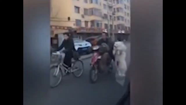 Подборка видео приколов 2017 февраль - март смотреть онлайн