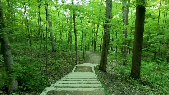 Виртуальная прогулка Видео для тренажеров Национальный парк Каиахога Вэлли в штате Огайо США