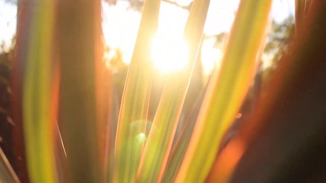 Простушку уволили из проката, за то, что дала костюм ни