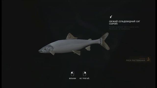 ИСПЫТАНИЕ : ЗАМËРЗШИЙ РЫБОЛОВ | The Long Dark | смотреть онлайн