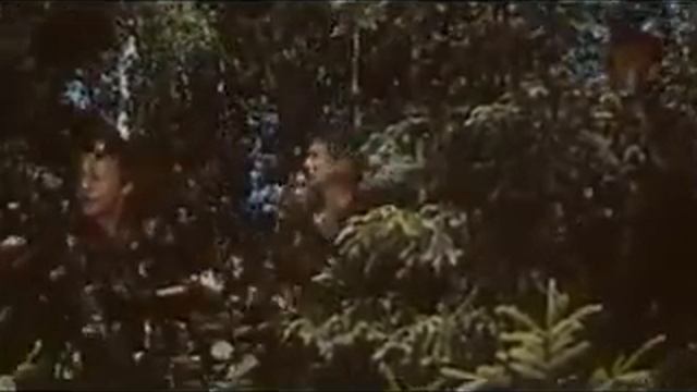 "В зоне особого внимания" (фрагмент) смотреть онлайн