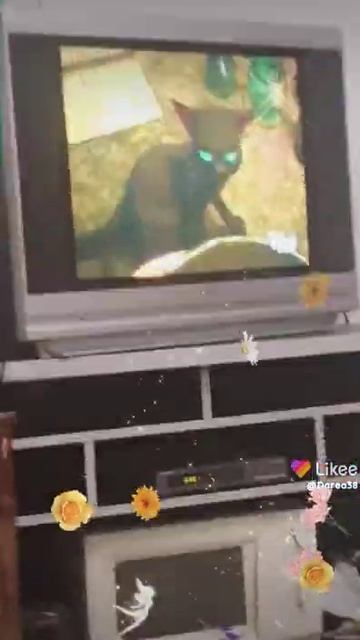 ❤мультик: ая и ведьма смотреть онлайн