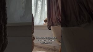 Все коты под этот звук приходят обниматься