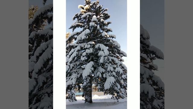 настоящая русская зима!!! смотреть онлайн