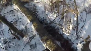 #Stihl 212 на пике своих возможностей