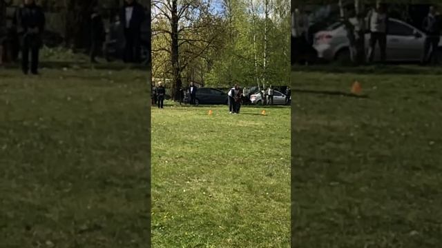 5 Отл. Invictus Maneo ALTAY +++ №11. КЧК САНКТ-ПЕТЕРБУРГ 17 мая`25 Г.Гринько Моно нем.овч.