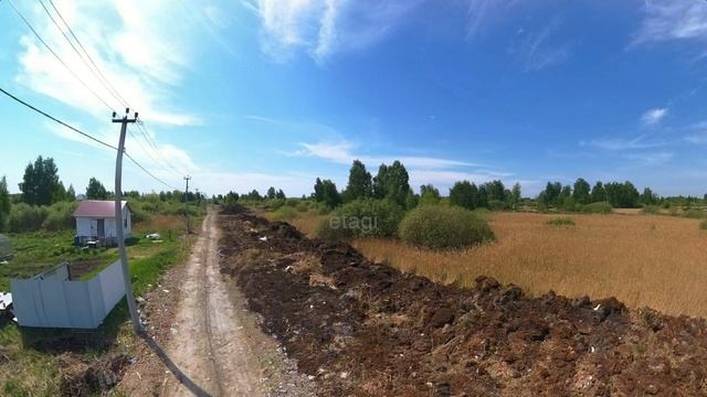 7843841 смотреть онлайн