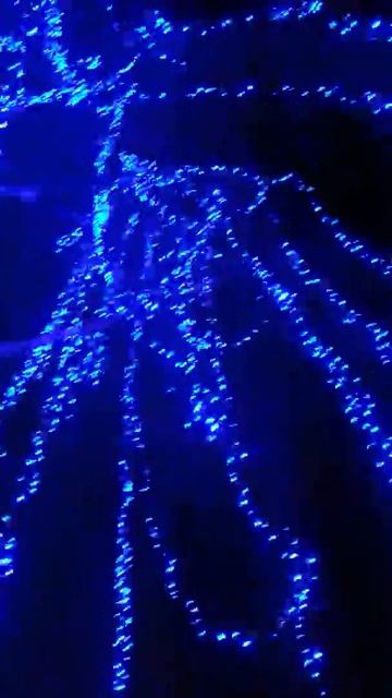 12 12 2013 Береза для северных аватаров смотреть онлайн