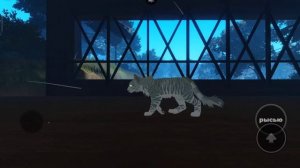 //Идеи для скинов необычного окраса в ВКУЕ//