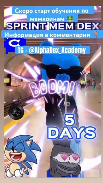 Обучение по мемкоинам #alphadex #мем #degen #мемы #mem #sonic #memes #к? смотреть онлайн