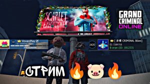 Grand Criminal Online - БЕШЕНЫЕ ЗВЕРИ 🐷🦝 СТРИМ GCO 🔥