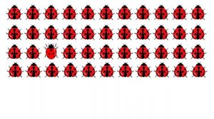 ИГРЫ на развитие внимания Развивающие мультики для детей ИГРАЕМ с малышами