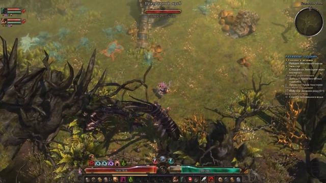 Grim Dawn Прохождение #29 Древняя роща