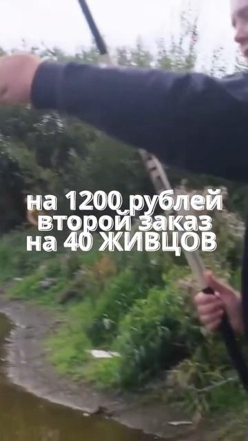 Бизнес на рыбалке #бизнес #заработок #рыбалка #бизнесснуля смотреть онлайн