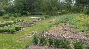 Последний день мая. Обход дачного участка.