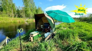 Мала река, да рыбы полно! 1 Рыбалка на Фидер 2025