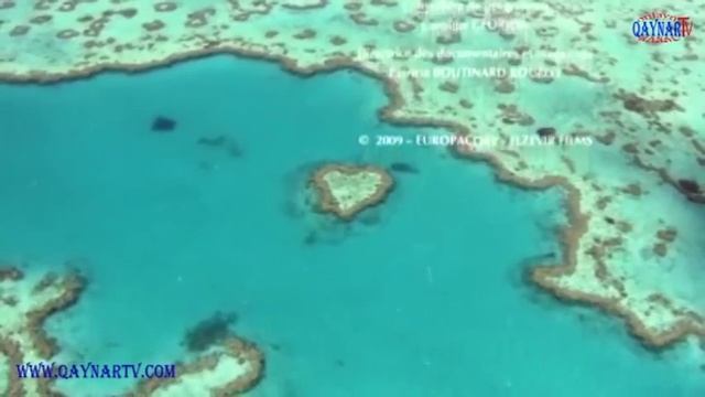 ДОМ   фильм запрещенный к показу в 36 странах Мира