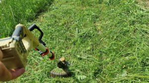 🌿Триммер аккумуляторный Feng Bao год спустя покупки🌿