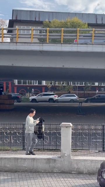 Арт-качели #пробудильник #probudilnik #чтопосмотреть #алмат? смотреть онлайн