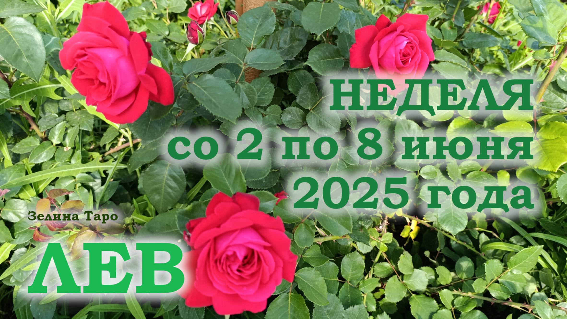 ЛЕВ | ТАРО прогноз на неделю со 2 по 8 июня 2025 года