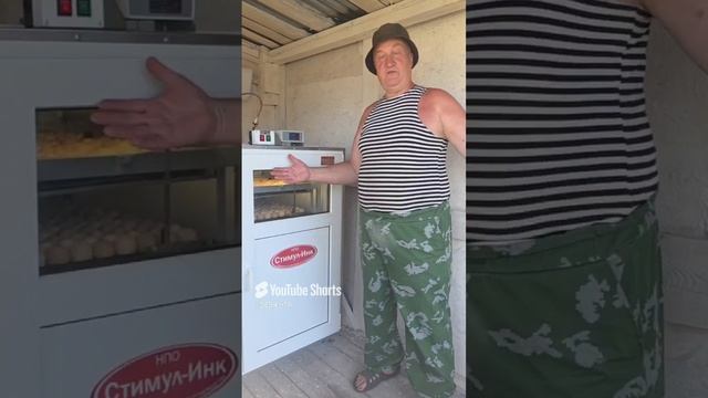 СОБИРАЕМ УРОЖАЙ КОББ 500 ЧЕХИЯ!!! 01.06.2025 год. смотреть онлайн