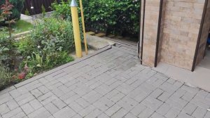 как отмыть тротуарную плитку