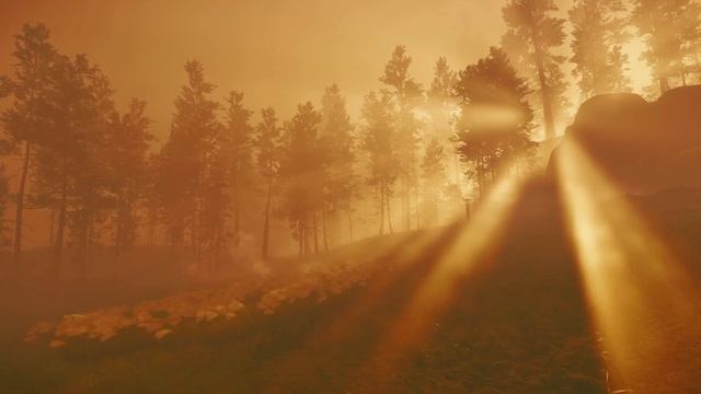 Meditate Like A SAMURAI Relaxing GHOST OF TSUSHIMA Music смотреть онлайн